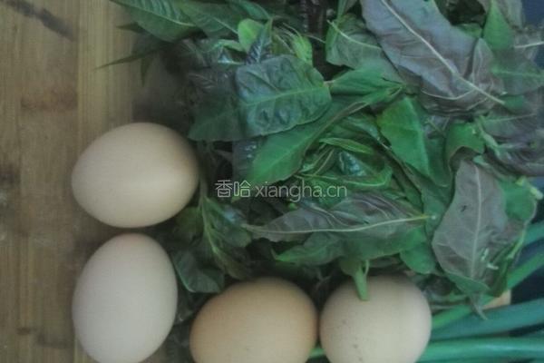 香椿炒蛋的做法图解1