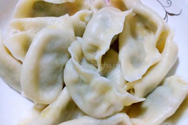  韭菜肉馅饺子的做法图解6