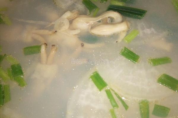 萝卜蛏子汤的做法图解11