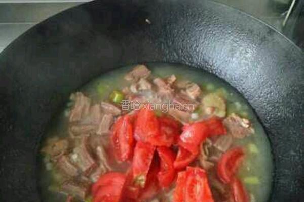 番茄牛腩面的做法图解9