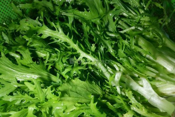 苦菊豆腐卷的做法图解1