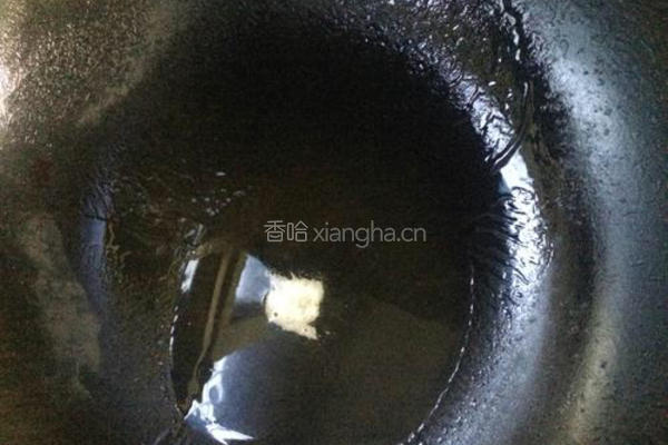 炫彩小炒肉的做法图解4