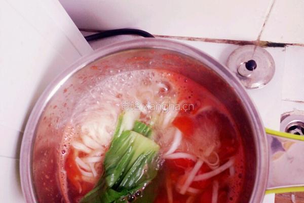 校园食谱之清煮挂面的做法图解7