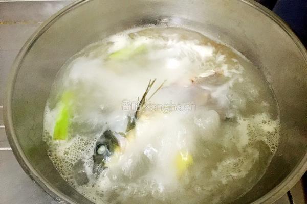 酸菜鱼的做法图解4