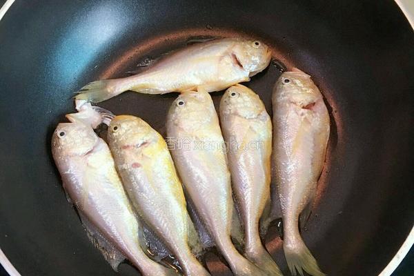 干煎小黄鱼的做法图解3