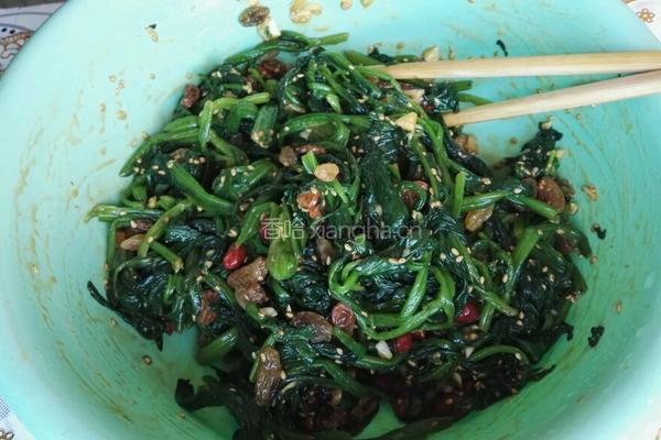 炝拌菠菜的做法图解4