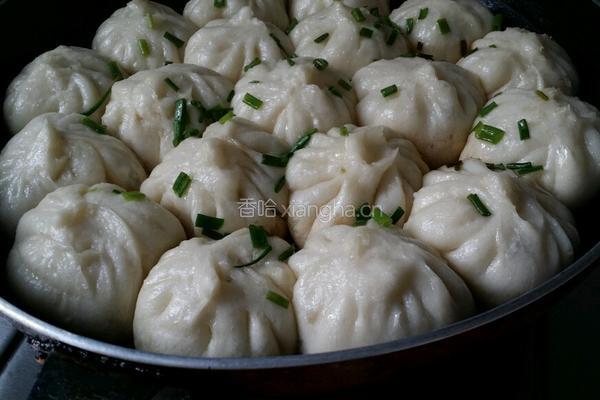 生煎肉包的做法图解7