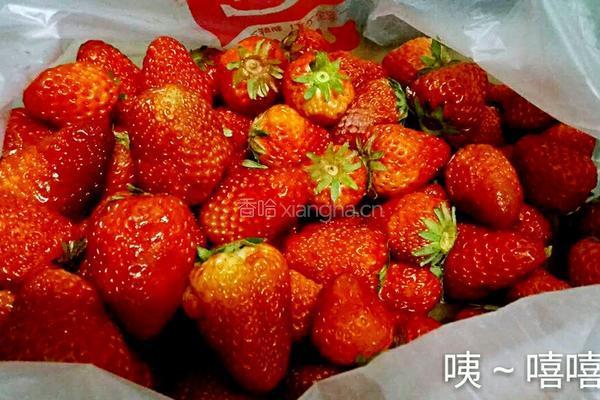 草莓酒的做法图解1