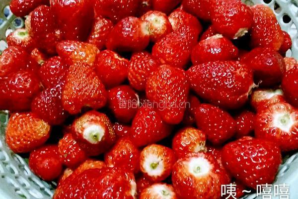 草莓酒的做法图解2