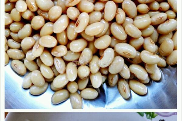 白萝卜丝炒黄豆的做法图解1