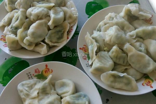 韭菜馅饺子的做法图解7