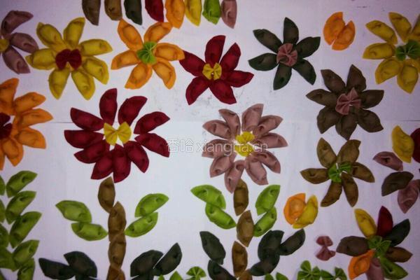 七彩饺子的做法图解11