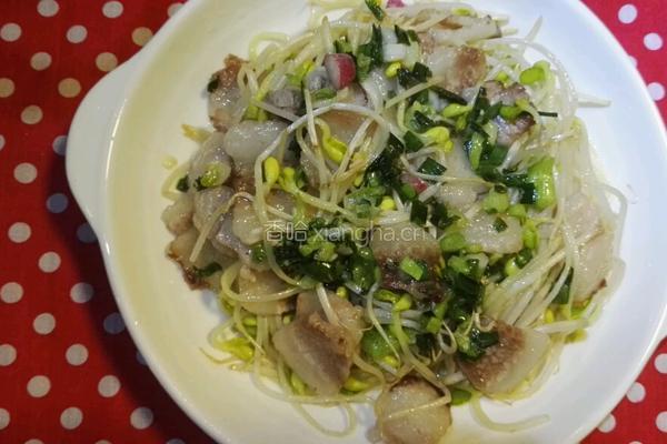 腩肉炒黄豆芽的做法图解6