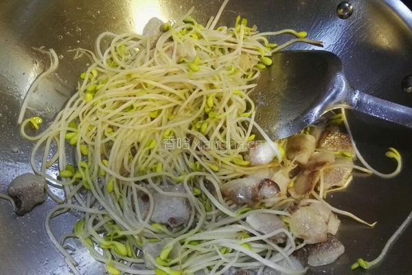 腩肉炒黄豆芽的做法图解4