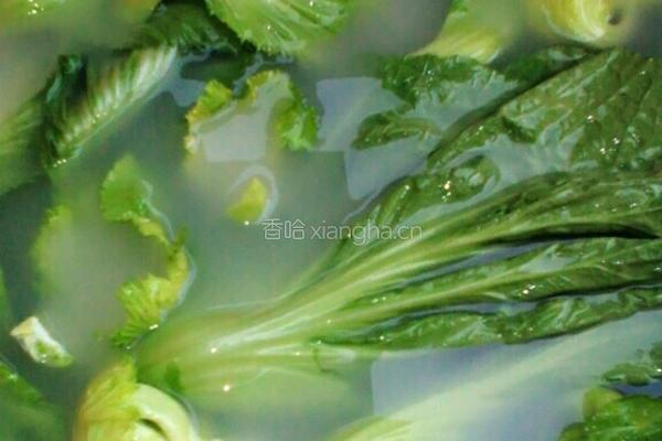 蚝油汁淋芥菜的做法图解1