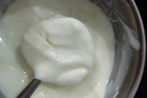 自制酸奶的做法图解16