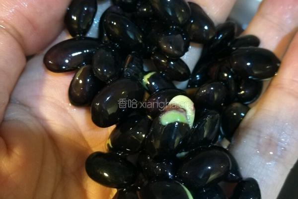 解毒养颜黑豆浆的做法图解1
