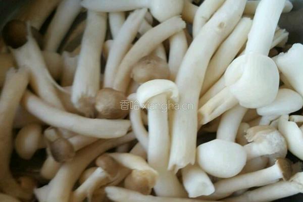 猪肉鲜虾大云吞的做法图解3