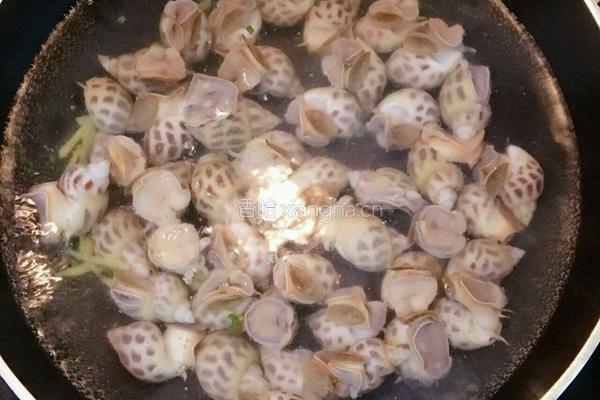 白灼花螺的做法图解5