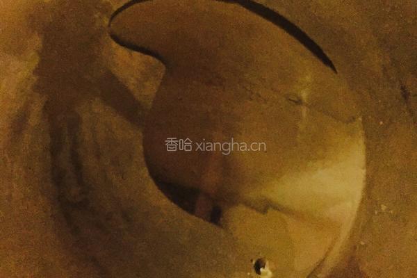 自制盖浇饭的做法图解2