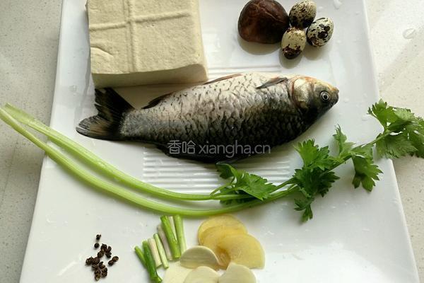 鲫鱼豆腐的做法图解1