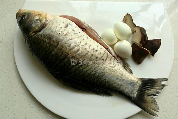 鲫鱼豆腐的做法图解5