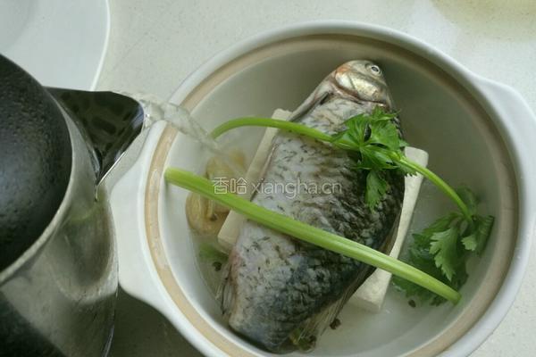 鲫鱼豆腐的做法图解13