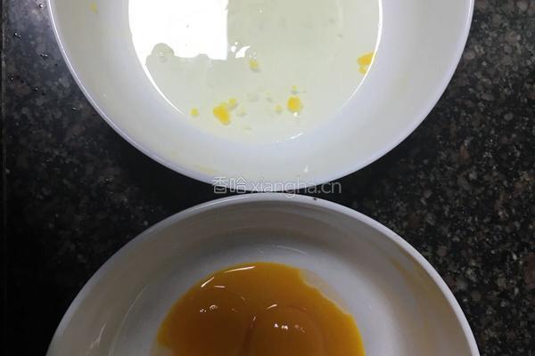 酸奶芒果盆栽与蛋糕芒果酸奶的做法图解8