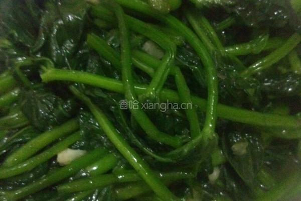 素炒番薯叶的做法图解4
