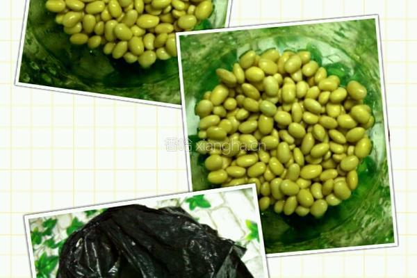 自发豆芽的做法图解3