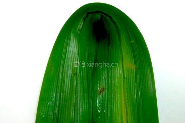 斑斓篓叶粽的做法图解8