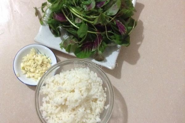 苋菜蒜蓉炒饭的做法图解1