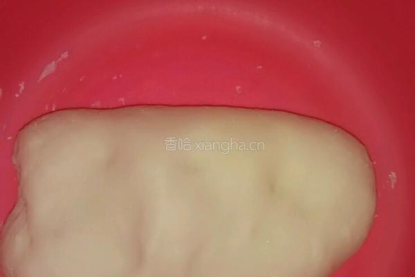 洋葱羊肉包子的做法图解1