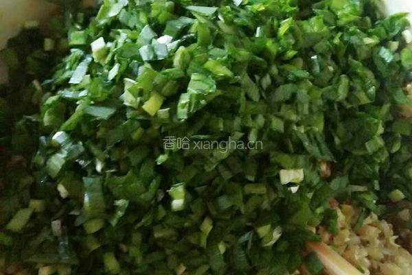 洋葱羊肉包子的做法图解6