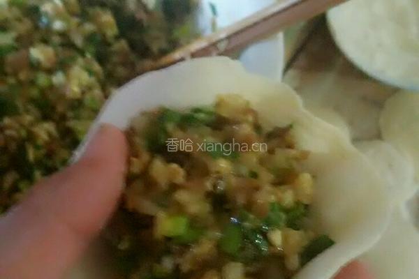 洋葱羊肉包子的做法图解12