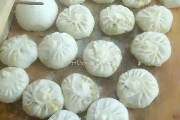 洋葱羊肉包子的做法图解14
