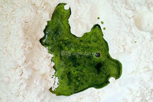 花团锦簇水饺的做法图解3