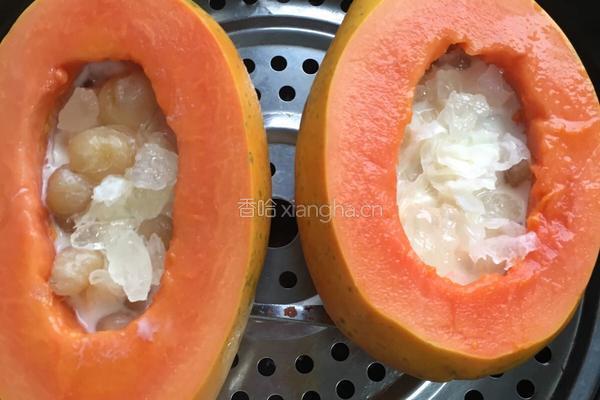 木瓜炖银耳的做法图解6