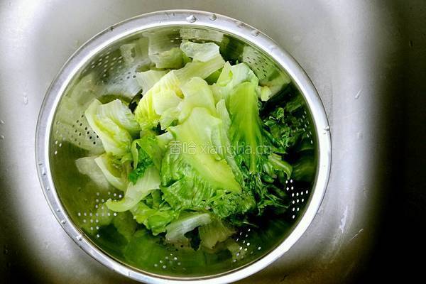 麻酱拌生菜的做法图解4