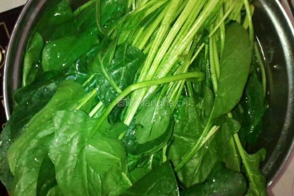 凉拌花生菠菜的做法图解4