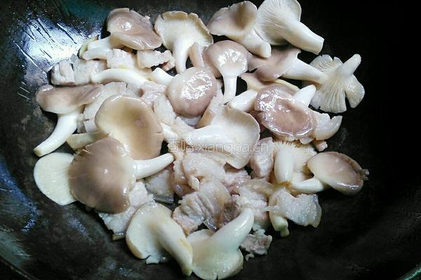 秀珍菇炒肉的做法图解7