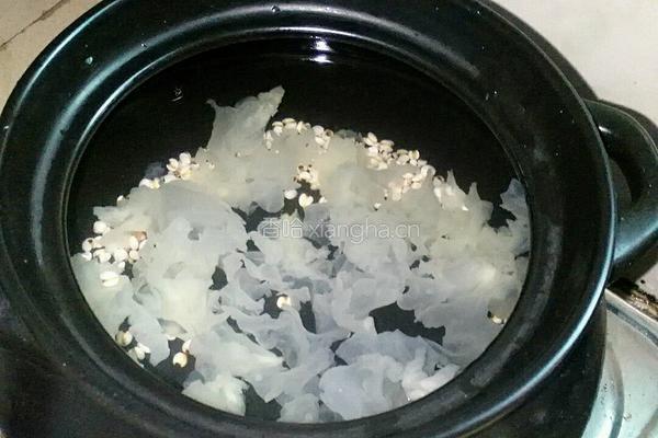 木瓜银耳薏仁羹的做法图解3