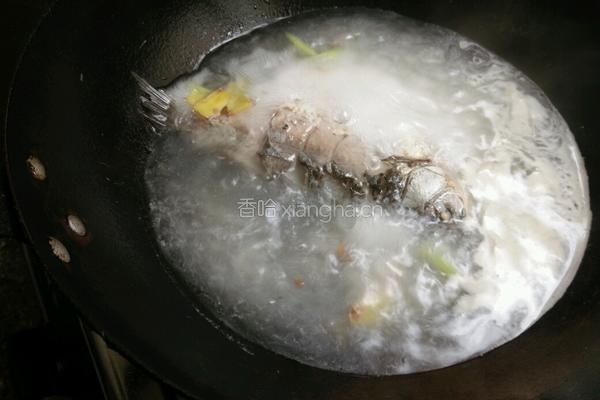 鲫鱼豆腐汤的做法图解6
