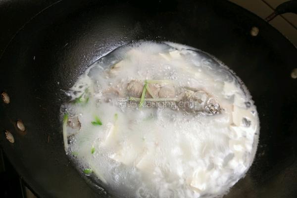 鲫鱼豆腐汤的做法图解8