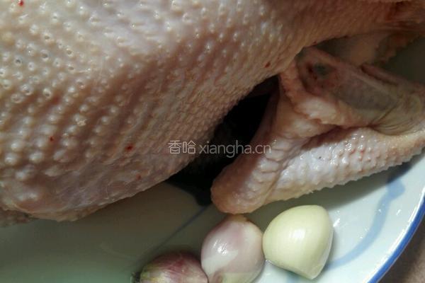 白切鸡的做法图解1