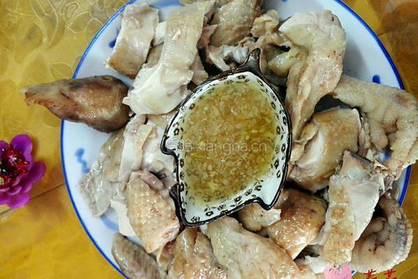 白切鸡的做法图解8