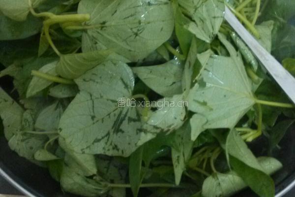 蒜香红薯叶的做法图解3