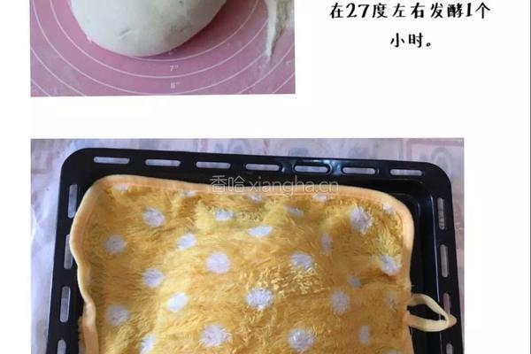 全纽约最火的bagel百吉饼(贝果面包)➕bagel三明治的做法图解2