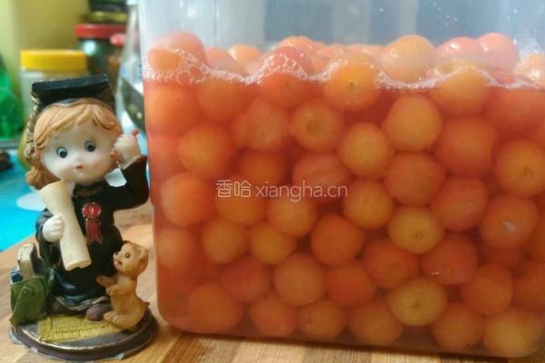 我家这样保存樱桃的做法图解5