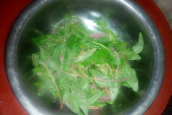 蒜炒苋菜的做法图解1